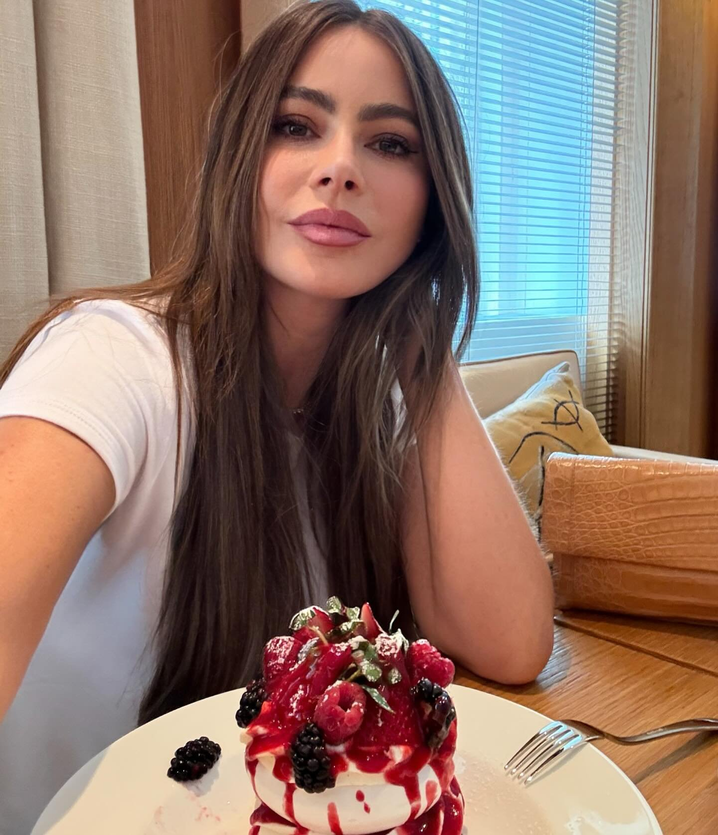 Sofia Vergara smiles with dessert.